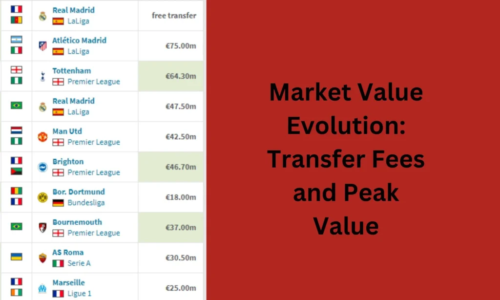 Market Value Evolution 