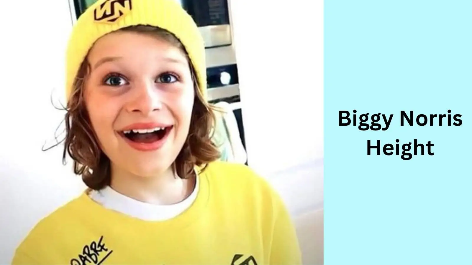 The Truth About Biggy Norris Height Age Real Name And More Paint Pulse The Truth About Biggy Norris Height Age Real Name And More Paint Pulse